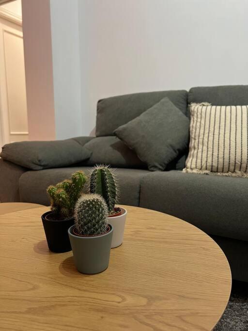 Top Duplex Centro "La Plazuela" جيريز المظهر الخارجي الصورة